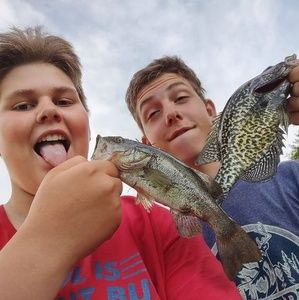 Meet your Posher, Keegan